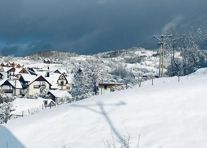 Na Swierkowym Strychu