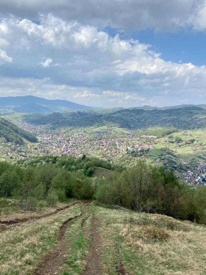 Na Swierkowym Strychu *
