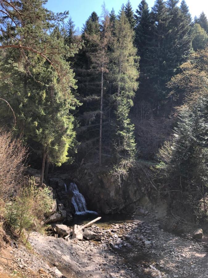 Na Swierkowym Strychu * Szczawnica