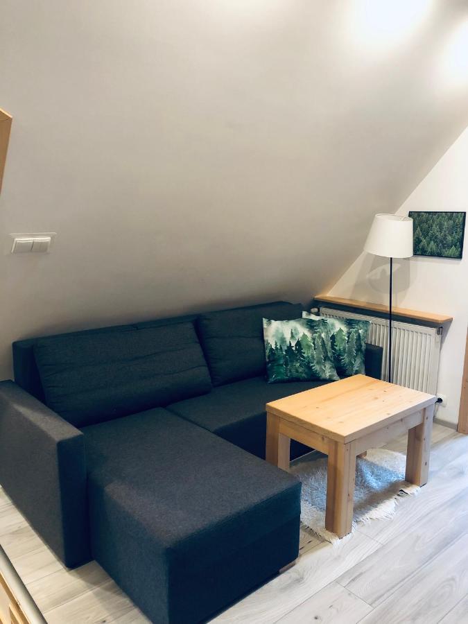 Na Swierkowym Strychu Apartment Szczawnica