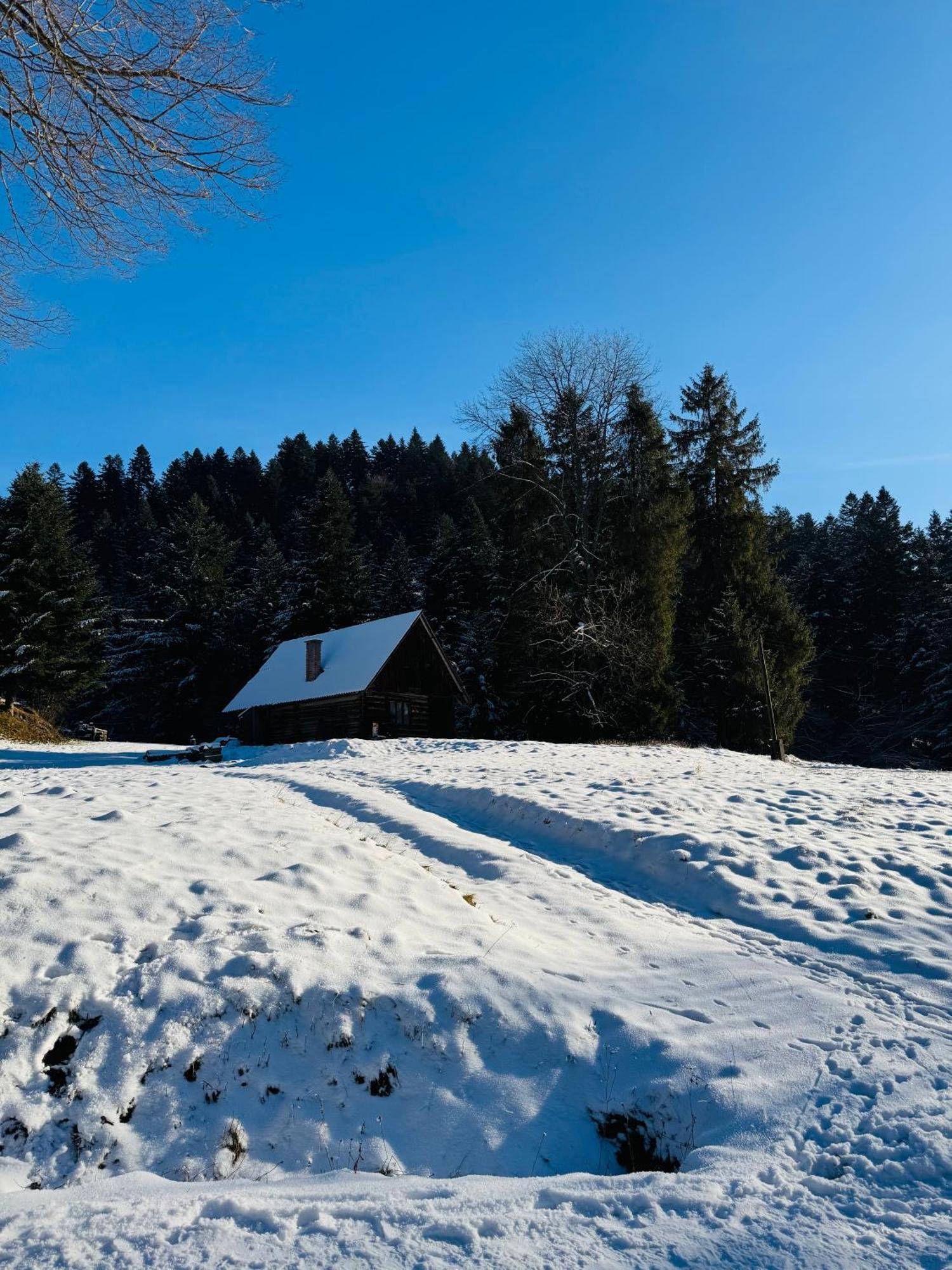 Na Swierkowym Strychu Apartment Szczawnica
