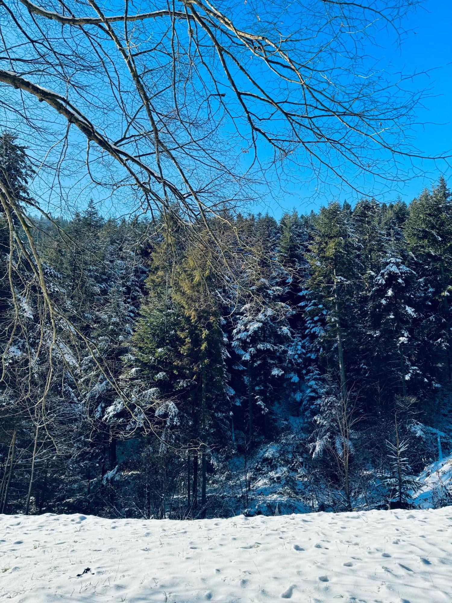 Na Swierkowym Strychu