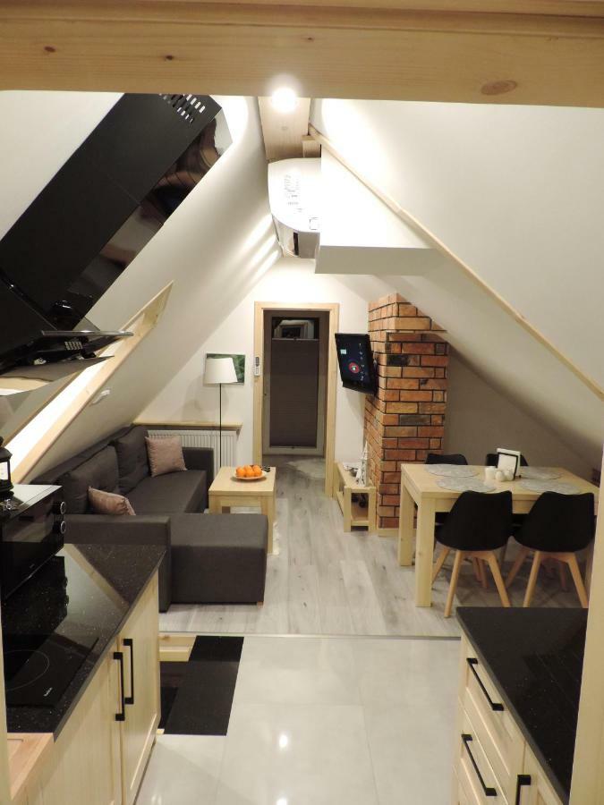 Na Swierkowym Strychu Apartment